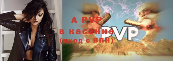 стафф Волоколамск
