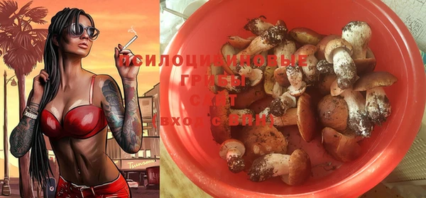 a pvp Володарск