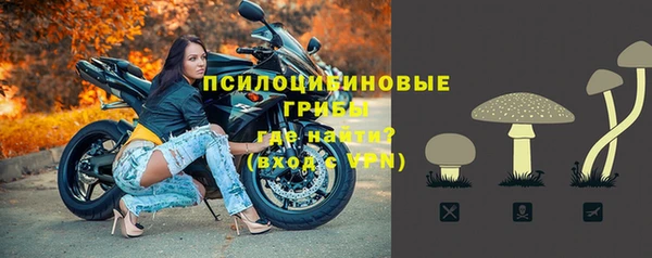 прущая мука Верхний Тагил