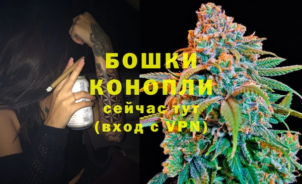 a pvp Володарск