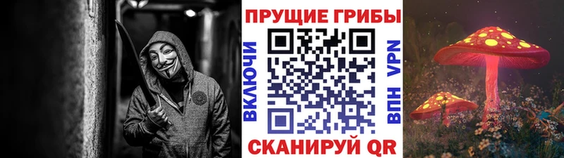 Псилоцибиновые грибы Magic Shrooms  купить наркотики сайты  Каменск-Шахтинский 